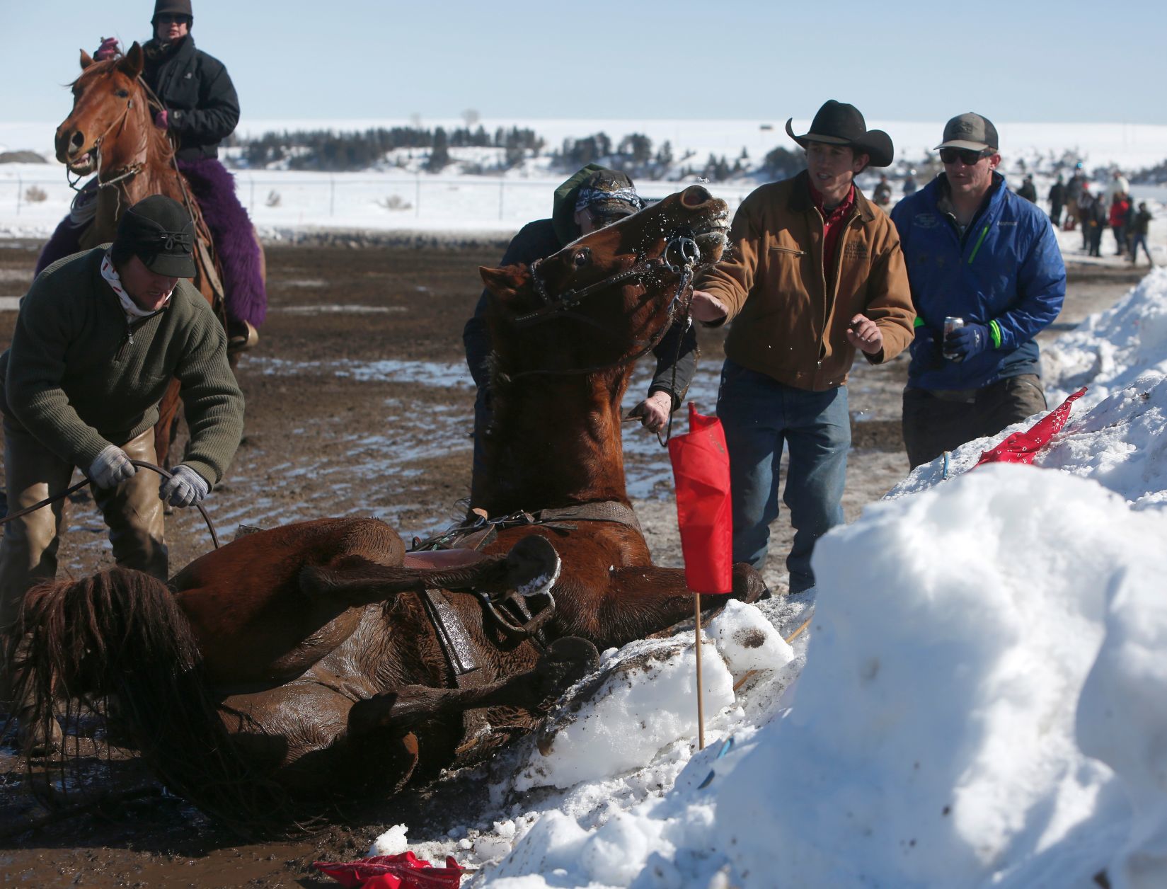 Ski-Joring Races 2018